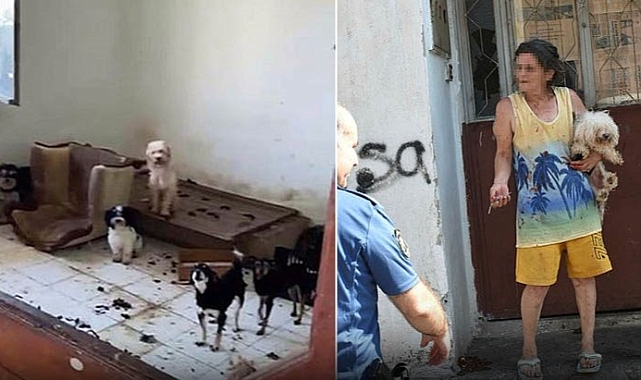 İzmir'de eziyet evi: Ekipler 47 köpeği kurtardı