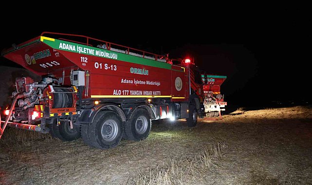 Adana'da anız yangını ormana sıçradı, yangın kontrol altına alındı