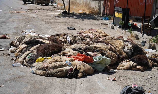 Gaziantep'te mide bulandıran görüntüler