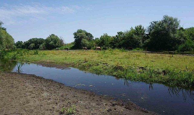 Tunca Nehri'nde kuraklık alarmı: Bölge üreticisi endişeli