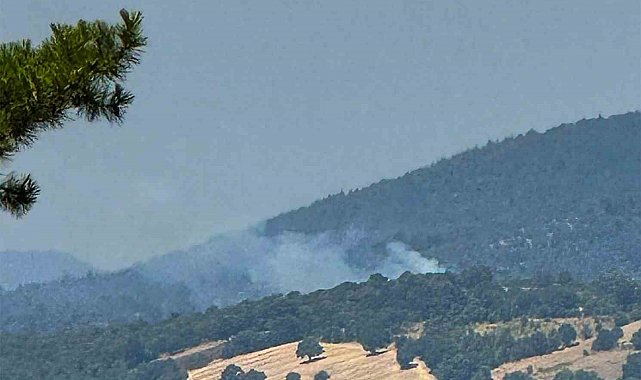 Dursunbey'de arazide çıkan yangın ormana sıçradı