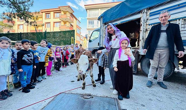 Yerli Haftası'nı okula getirdikleri 'inekle' kutladılar