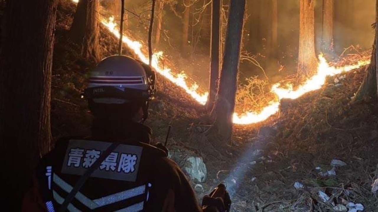 Japonya 1 haftadır yanıyor: 2 bin 600 hektar kül oldu