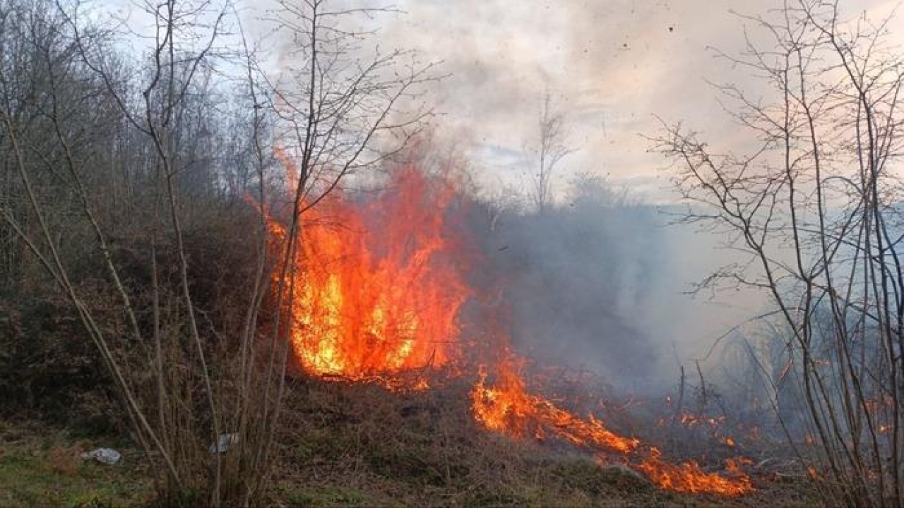 Sakarya'da çalılık alanda yangın söndürüldü