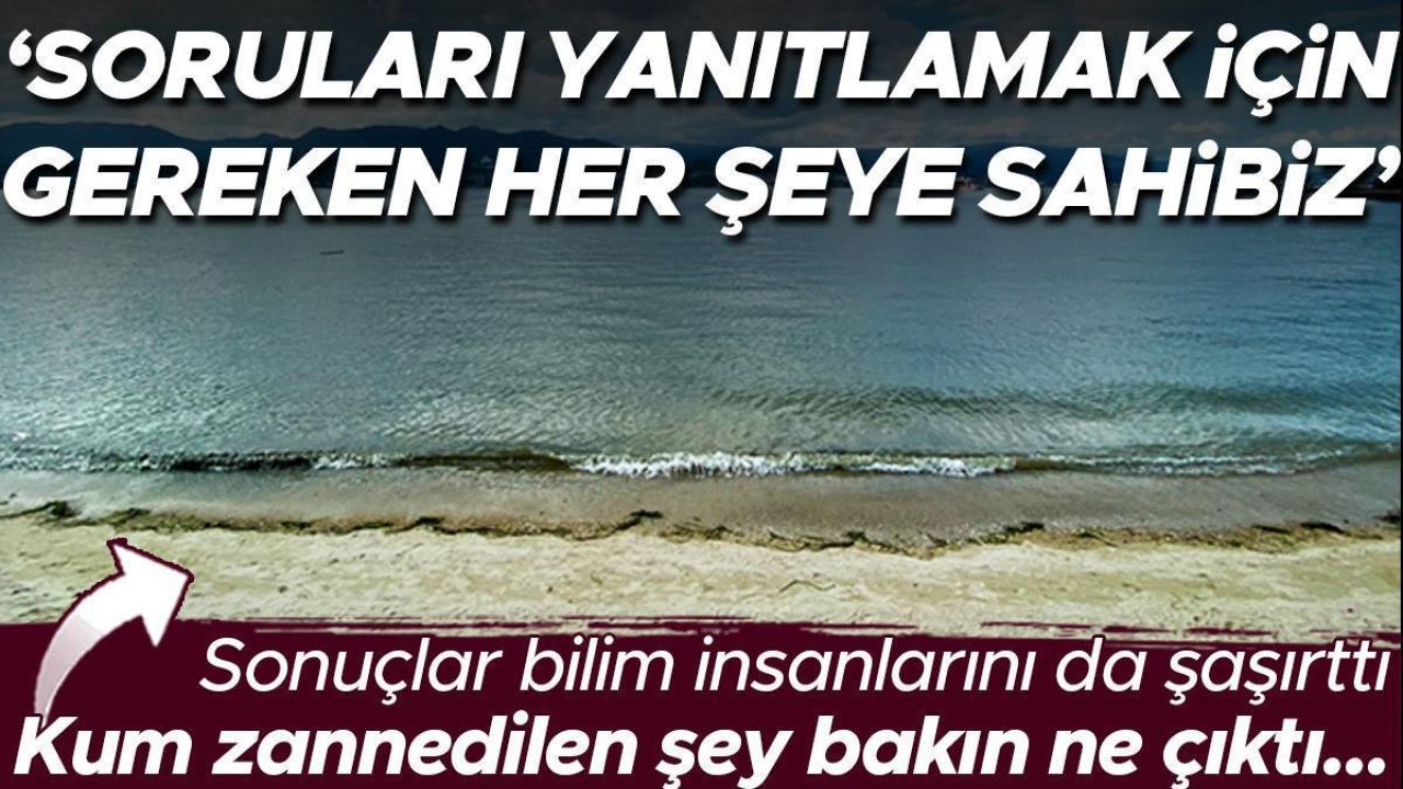 Sonuçlar bilim insanlarını da hayrete düşürdü... Kum zannedilen şey bakın ne çıktı! 'Soruları yanıtlamak için gereken her şeye sahibiz'